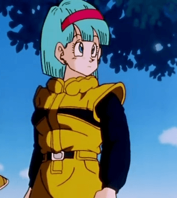 DragonBall Cosplay - Kostüm Bulma Erwachsener